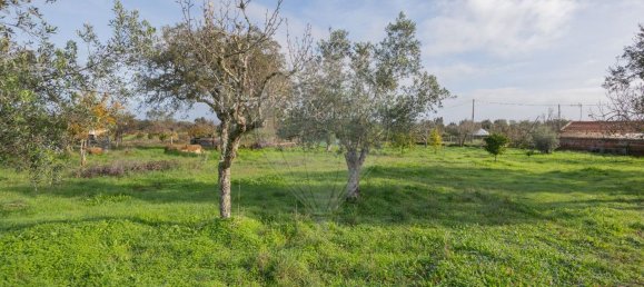 1 bedroom House in Colos, Portugal No. 39487 15