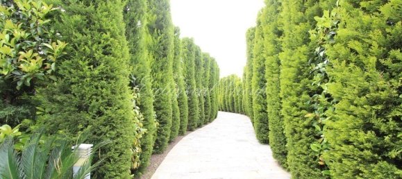 Villa 3+1 in Bodrum, Turkey No. 28379 18