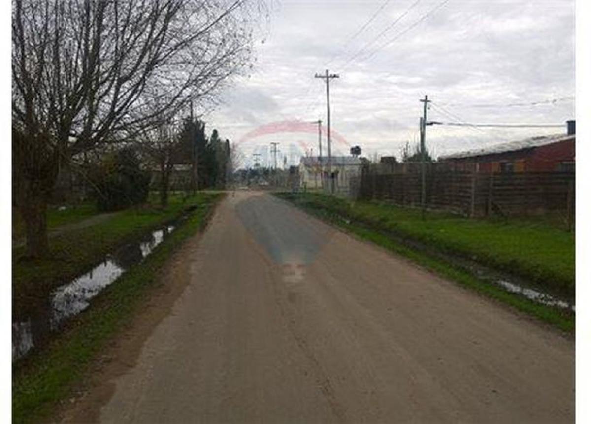  Land in Campo Creado, Argentina No. 40539
