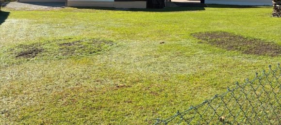 4 غرف نوم منزل في Kelheim, Germany رقم 220614 3