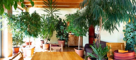 7 rooms Farm in Deggendorf, Germany No. 199941 13