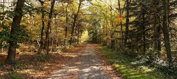 7 rooms Farm in Deggendorf, Germany No. 199941 5