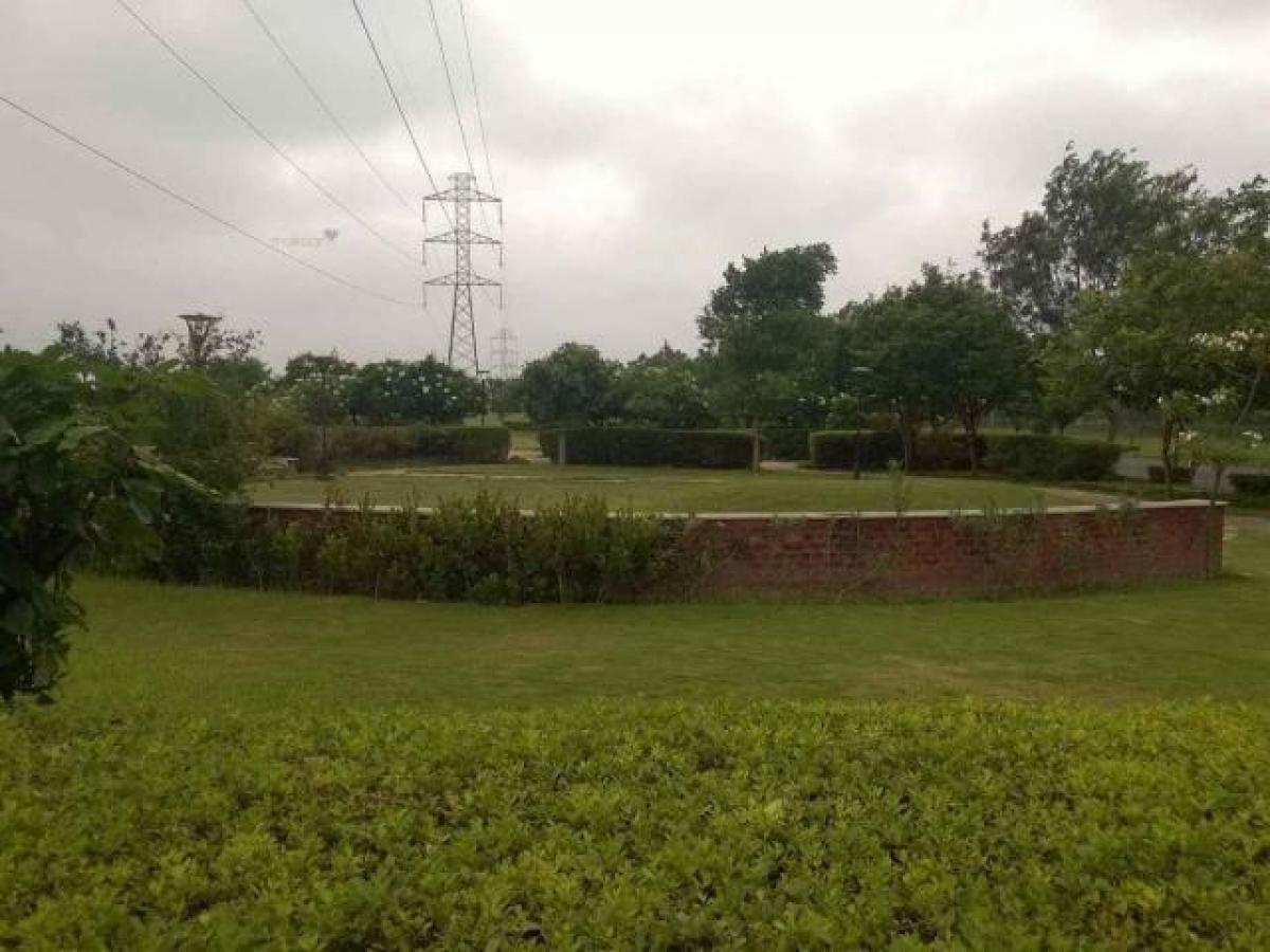 Terrain à Mohali, India No. 32010