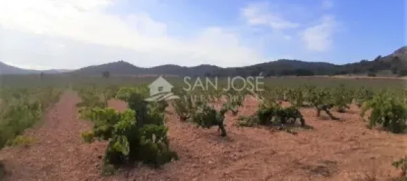 Земельный участок 83м² в Абанилла, Испания № 108043 12