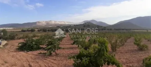 Земельный участок 83м² в Абанилла, Испания № 108043 9