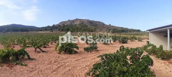 Земельный участок 83м² в Абанилла, Испания № 108043 10