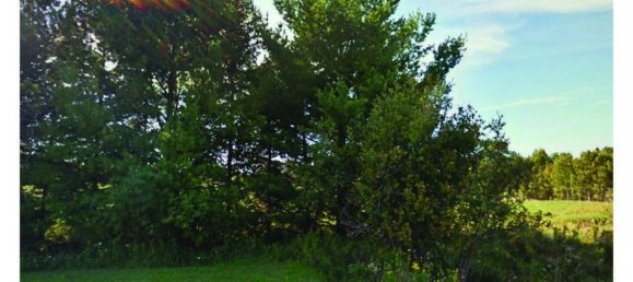 Grundstück in Gore Bay, Canada, Nr. 1473 2