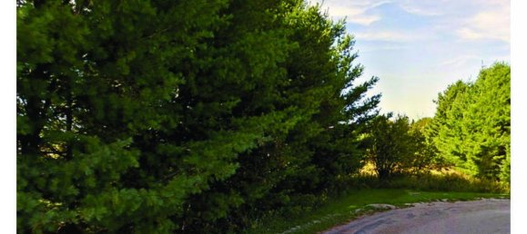 Grundstück in Gore Bay, Canada, Nr. 1473 5