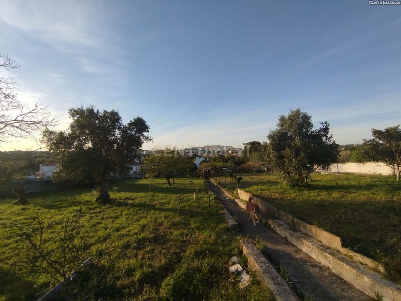 6 غرف نوم منزل في Sintra, Portugal رقم 321200