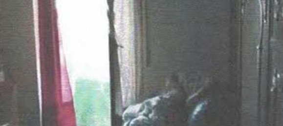 2 rooms Apartment in Pioltello, Italy No. 227324 17