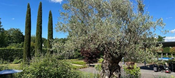 8-Zimmer Villa in Bergstraße, Germany, Nr. 320537 2