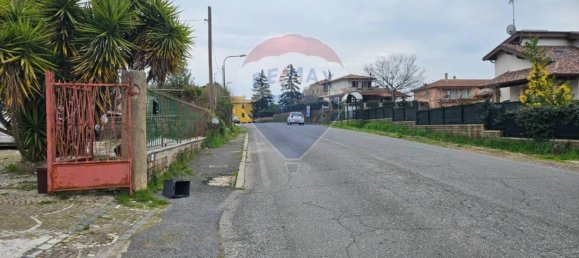 3 rooms Commercial property in Manziana, Italy No. 146726 6