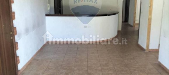 3 rooms Commercial property in Manziana, Italy No. 146726 12