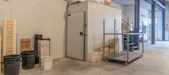 451m² Warehouse in Albolote, Spain No. 170024 16