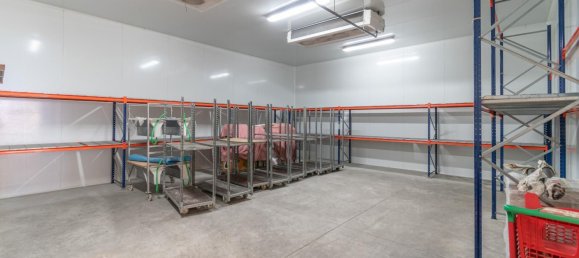 451m² Warehouse in Albolote, Spain No. 170024 22