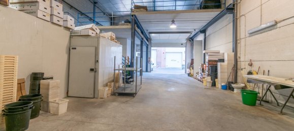 451m² Warehouse in Albolote, Spain No. 170024 25