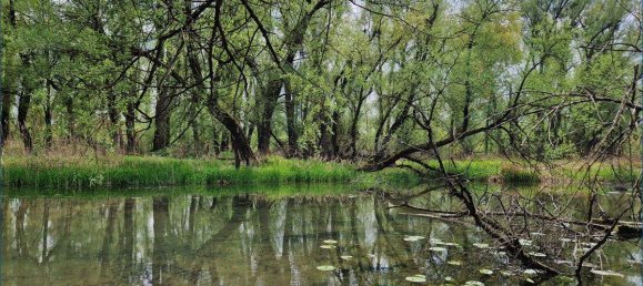 Grundstück in Braunau am Inn, Austria, Nr. 167250 8