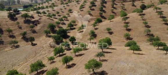 3 bedrooms Castles in Castro Marim, Portugal No. 135529 16