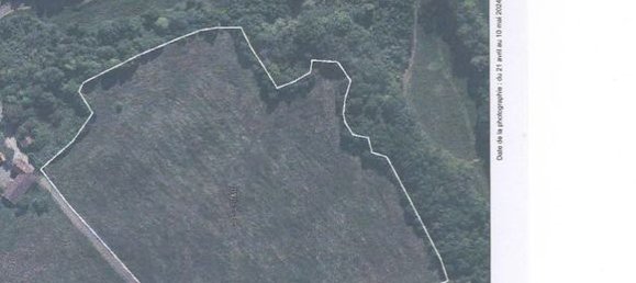  قطعة أرض في Monflanquin, France رقم 335691 3