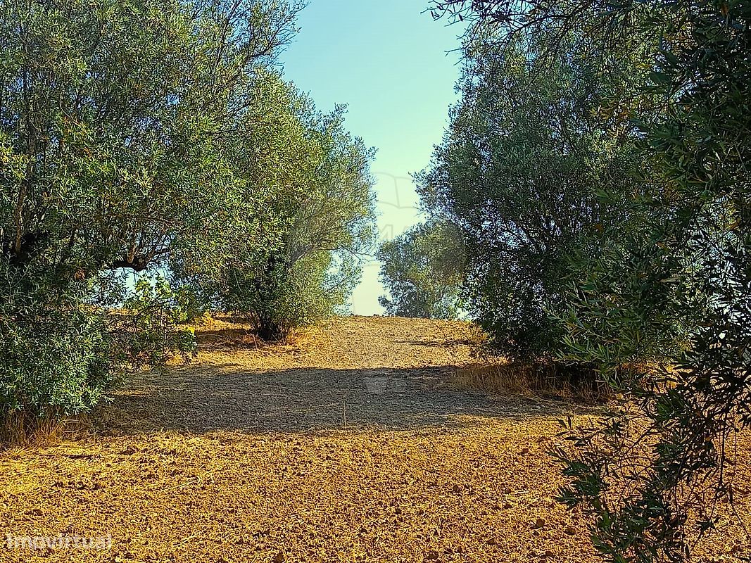 Terrain à Torres Novas, Portugal 6520m² No. 301633