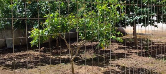 4-salle Appartement à Presicce Acquarica, Italy No. 266977 21