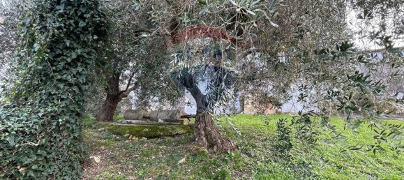 Casa de 7 habitaciónes en Filottrano, Italy No. 15153 12