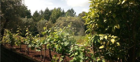 3 bedrooms House in Macas de Dona Maria, Portugal No. 25296 26