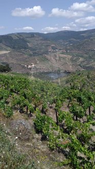 Castelos T2 em Valença do Douro, Portugal N.º 169494