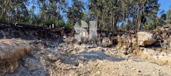 2025m² Land in Rebordosa, Portugal No. 81590 9