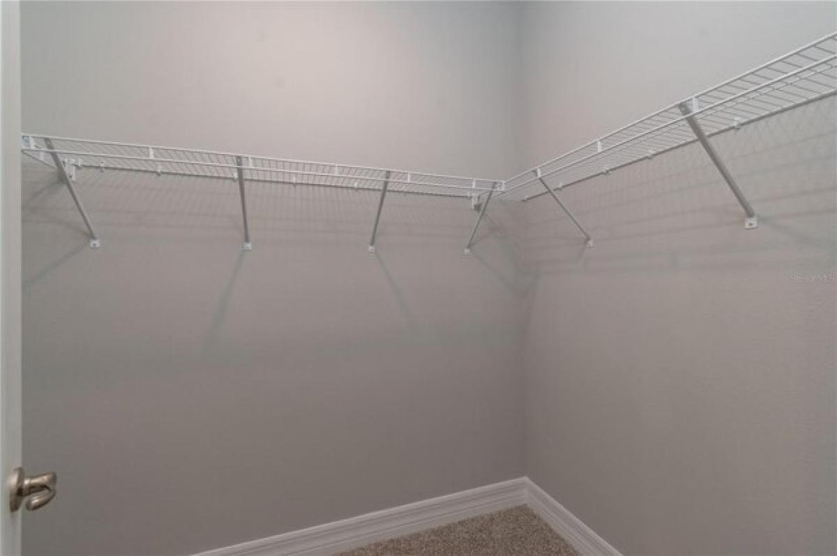 4 bedrooms House in Ocala, USA No. 385529