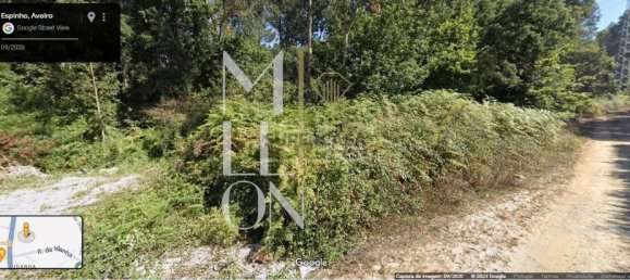  Land in Anta, Portugal No. 157598 3