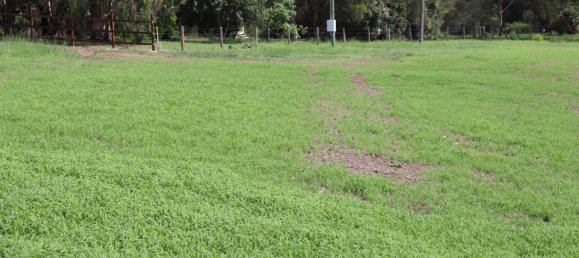 Terrain à Veteran, Australia 5002m² No. 1058 9