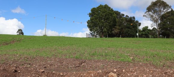 Terrain à Veteran, Australia 5002m² No. 1058 5