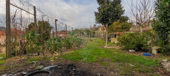 4 غرف نوم منزل في Vilela, Portugal رقم 39733 15