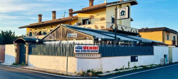 1-Zimmer Gewerbliche Immobilie in Fiumicino, Italy, Nr. 141395 2