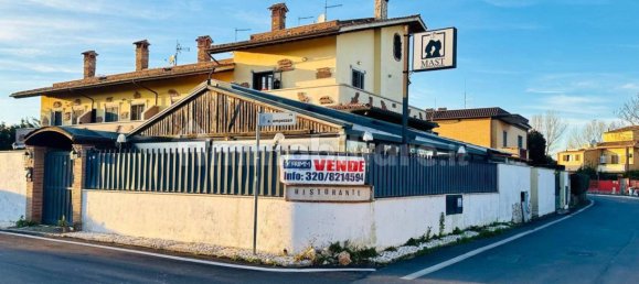 1-Zimmer Gewerbliche Immobilie in Fiumicino, Italy, Nr. 141395 4