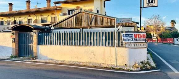 1-Zimmer Gewerbliche Immobilie in Fiumicino, Italy, Nr. 141395 7