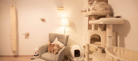 3 rooms Apartment in Bad Schallerbach, Austria No. 126786 10