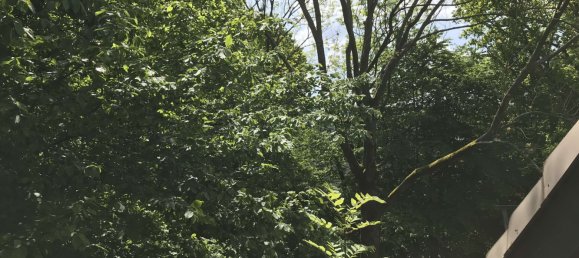 3 bedrooms Penthouse in Wandsbek, Germany No. 218070 24