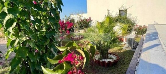 3 rooms Bungalow in Ammochostos, Cyprus No. 23789 2