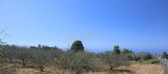 Terreno em Tacoronte, Spain 3822 m² N.º 145869 9