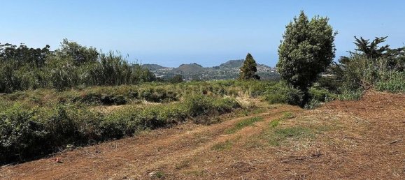Terreno em Tacoronte, Spain 3822 m² N.º 145869 2