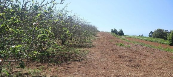 Terreno em Tacoronte, Spain 3822 m² N.º 145869 11