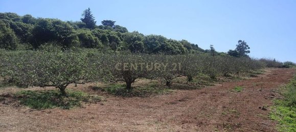 Terreno em Tacoronte, Spain 3822 m² N.º 145869 6