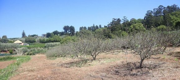 Terreno em Tacoronte, Spain 3822 m² N.º 145869 12