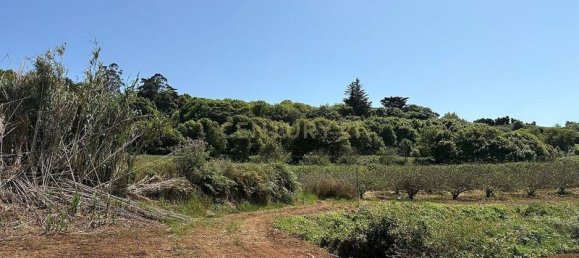 Terreno em Tacoronte, Spain 3822 m² N.º 145869 3