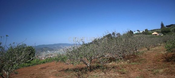 Terreno em Tacoronte, Spain 3822 m² N.º 145869 10