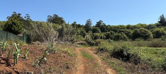 Terreno em Tacoronte, Spain 3822 m² N.º 145869 4