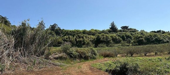 Terreno em Tacoronte, Spain 3822 m² N.º 145869 5