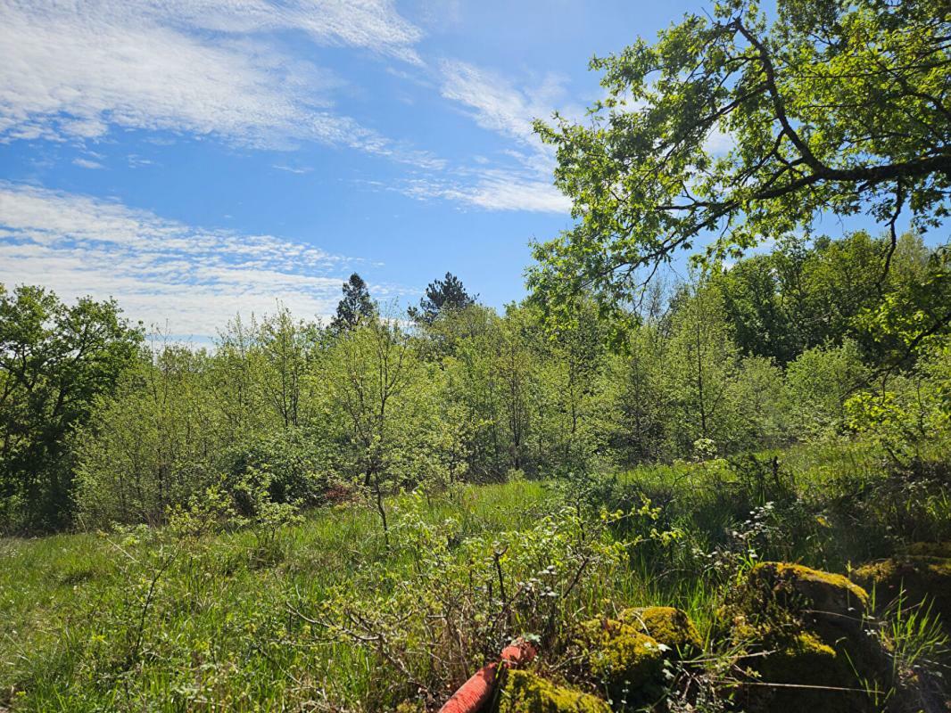 Terreno en Noailles, France No. 97245